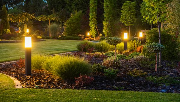 Yard Lighting Renovation